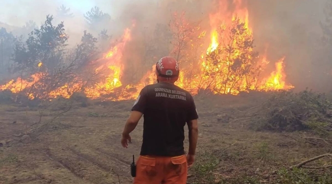 Eskişehir orman yangınında 10 görevli şehit oldu
