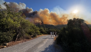 Urla'da orman yangını