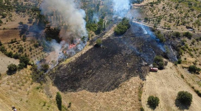 Manisa'nın Yunusemre ilçesinde orman yangını