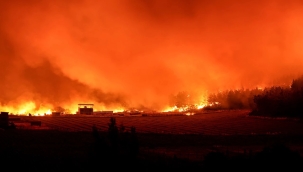 TR'de son bir haftada 624 orman yangını çıktı