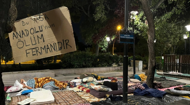 Zeytinliklerin madenciliğe açılması kabul edildi