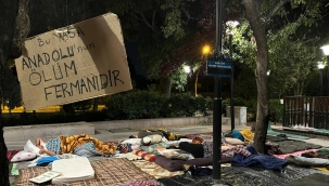Zeytinliklerin madenciliğe açılması kabul edildi