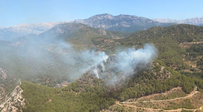 Anamur'da orman yangını