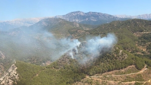 Anamur'da orman yangını