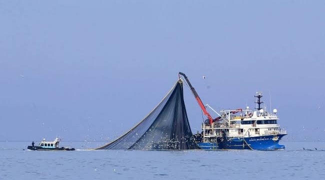 Balık avı sezonu 1 Eylül'de açılıyor