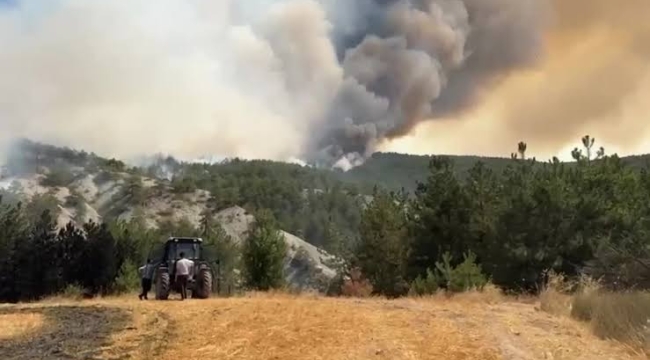 Bolu'daki orman yangınına ilişkin 1 kişi tutuklandı
