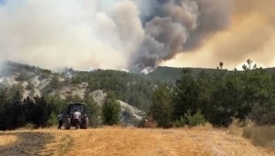 Bolu'daki orman yangınına ilişkin 1 kişi tutuklandı