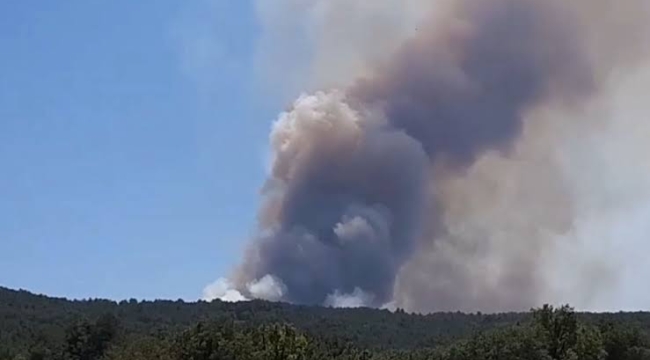 Bolu'nun Mudurnu ilçesinde orman yangını