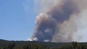 Bolu'nun Mudurnu ilçesinde orman yangını