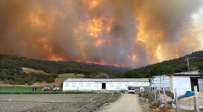 Bursa ve Çanakkale'de orman yangını