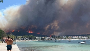 Çanakkale'de orman yangını