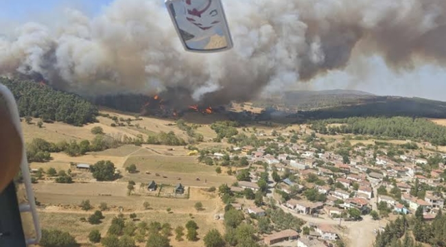 Çanakkale'nin Gelibolu ilçesinde orman yangını