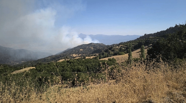 Denizli Buldan'da orman yangını tekrar başladı