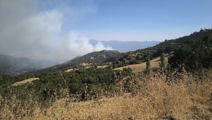 Denizli Buldan'da orman yangını tekrar başladı