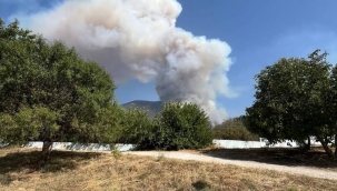 Denizli'nin Pamukkale ilçesinde orman yangını