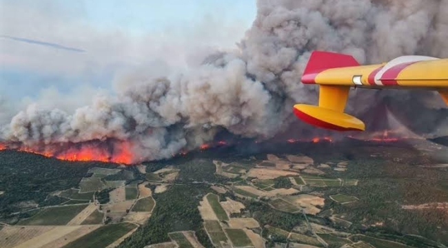 Fransa'da orman yangını: 2 bin kişi tahliye edildi