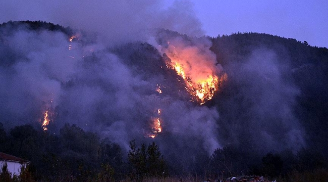 Karabük'te orman yangını tekrar başladı