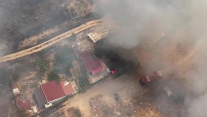 Kocaeli'de orman yangını: Alevler evlere sıçradı