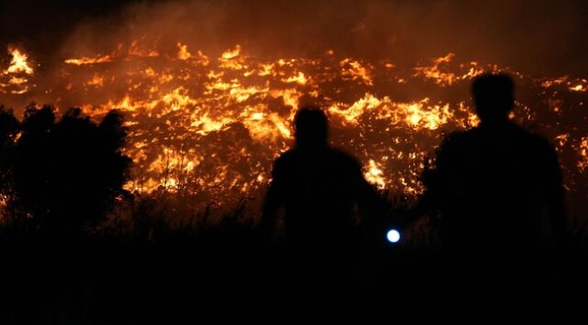 Orman yangınlarının maliyeti 25 milyar TL'yi aştı