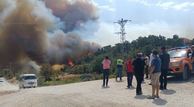 Silifke'de orman yangını: 3 mahalle tahliye ediliyor