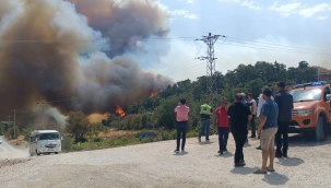 Silifke'de orman yangını: 3 mahalle tahliye ediliyor
