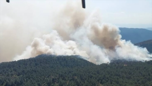 Sinop'un Durağan ilçesinde orman yangını