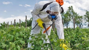 TR'de tarımda pestisit kullanımı reçeteli olacak