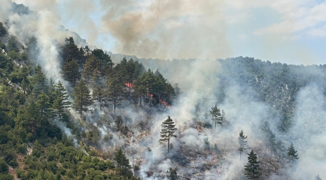 Adana'nın Feke ilçesinde orman yangını