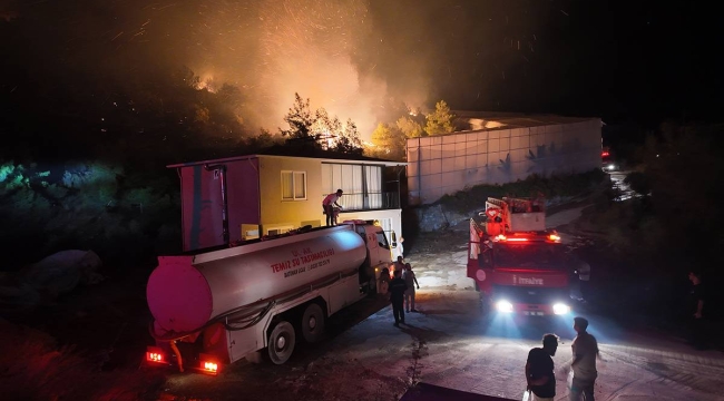 Alanya ve Milas'ta orman yangını