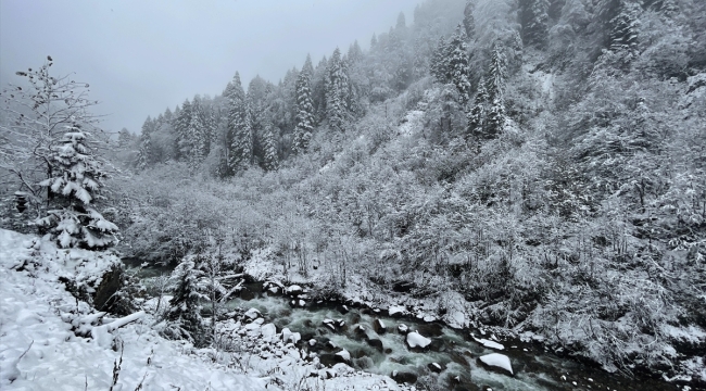 D. Karadeniz'de yaylalara mevsimin ilk karı yağdı