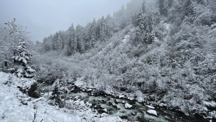 D. Karadeniz'de yaylalara mevsimin ilk karı yağdı