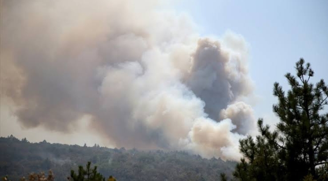 Kastamonu-Karabük sınırında orman yangını