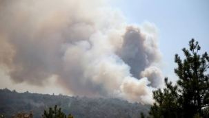 Kastamonu-Karabük sınırında orman yangını