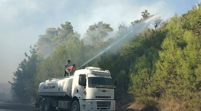 Manavgat'ta orman yangını