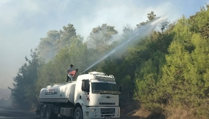 Manavgat'ta orman yangını