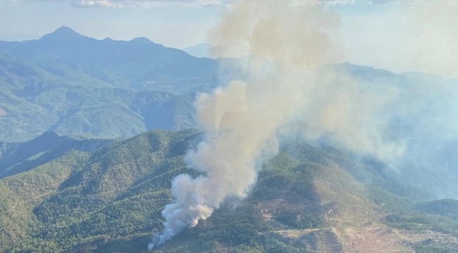 Muğla'nın Köyceğiz ilçesinde orman yangını
