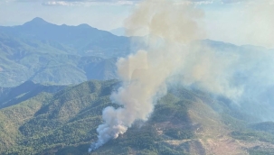 Muğla'nın Köyceğiz ilçesinde orman yangını