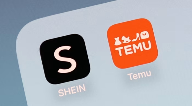 Temu, 2024'te AB'de 120 milyon $ kâr etti