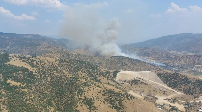 Aydın'ın Bozdoğan ilçesinde orman yangını