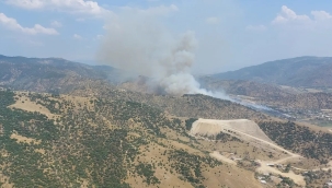 Aydın'ın Bozdoğan ilçesinde orman yangını