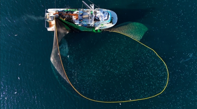 DKİB: "10 ayda 27,6 bin ton su ürünü ihraç edildi"