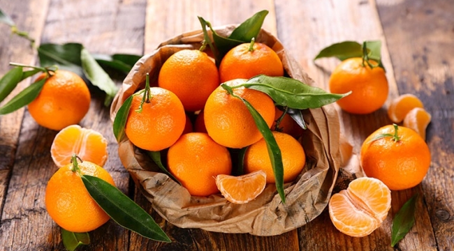 EİB: "Ekim'de 110 bin ton mandalina ihraç edildi"