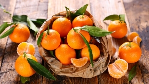 EİB: "Ekim'de 110 bin ton mandalina ihraç edildi"