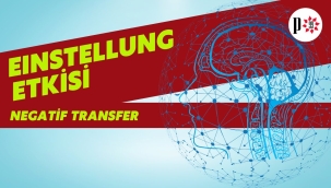 Neden Beceremeyelim? Negatif Transfer ve Einstellung Etkisi