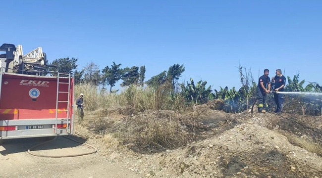 Antalya'da muz bahçesinde yangın