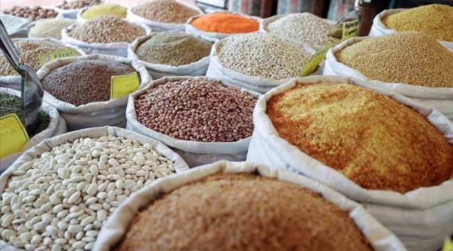 GAİB: "11 aylık hububat ihracatı 3,2 milyar $"