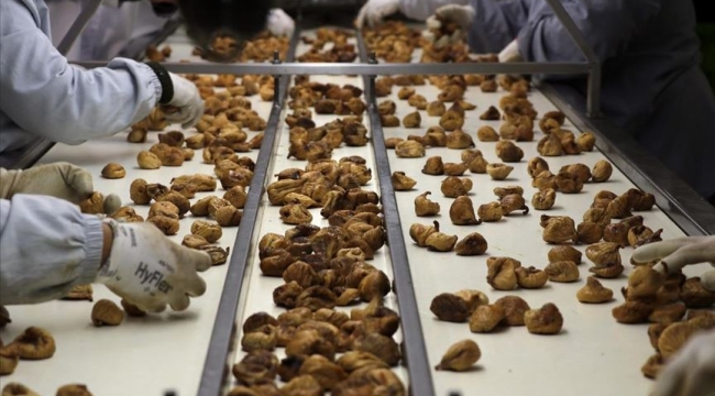 Fransa, Türkiye'den gelen 41 ton incire el koydu