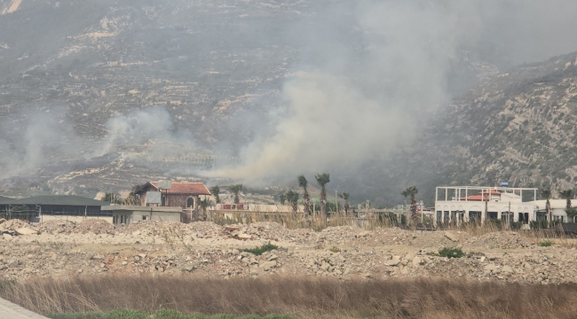 Hatay Samandağ'da makilik alanda yangın