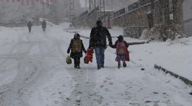 Ordu'da kar: 13 ilçede eğitime 1 gün ara verildi