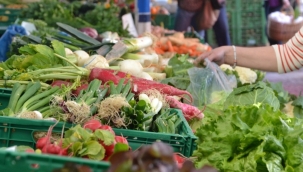 TEPAV: "Yıllık gıda enflasyonu Ocak'ta %30,5"